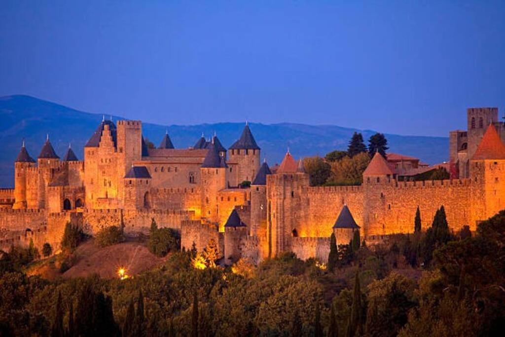 Chez Micka Appartement Carcassonne Buitenkant foto
